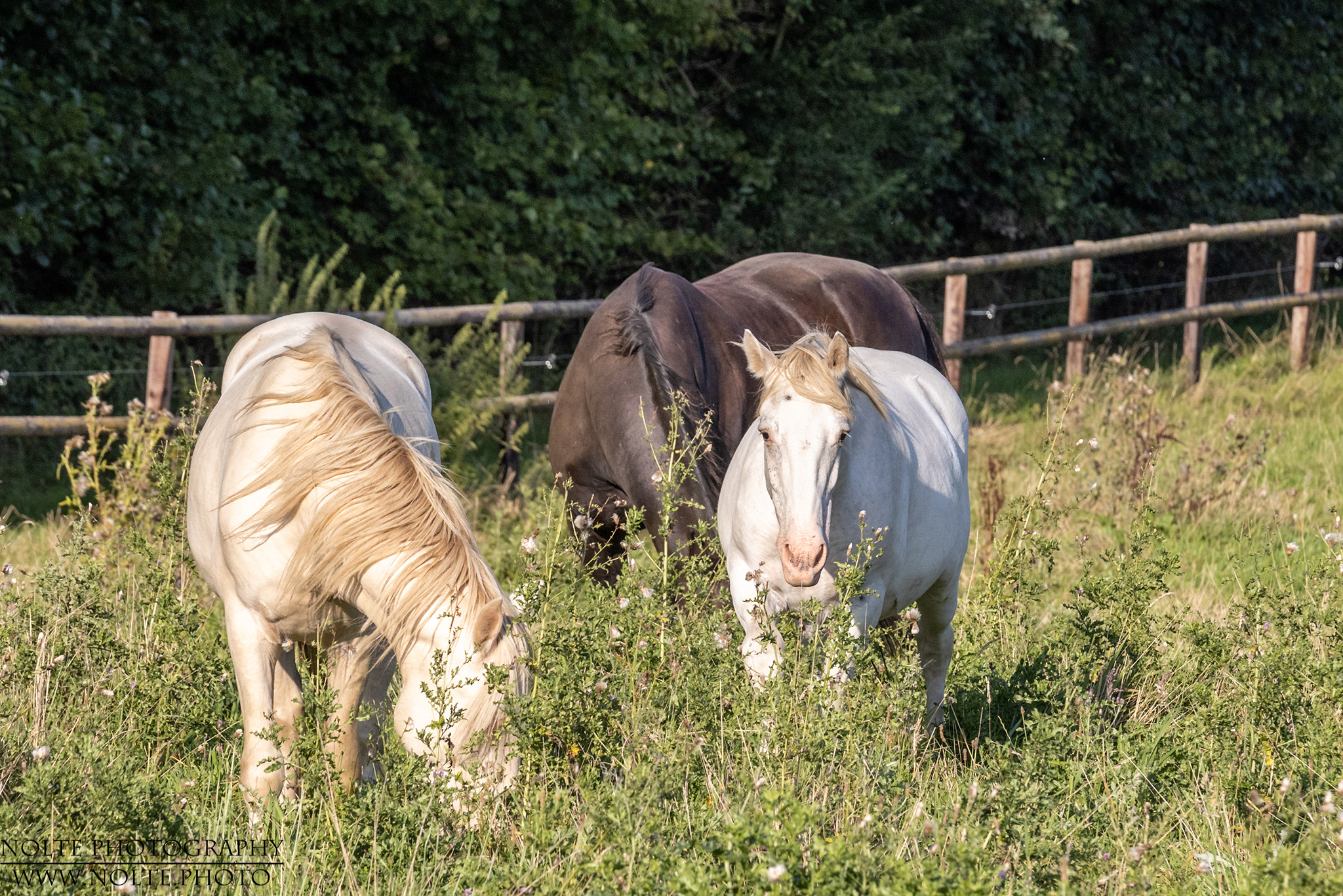 Am Delikatessenbuffet